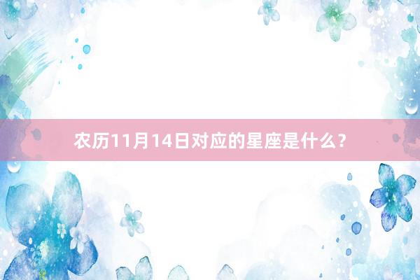 农历11月14日对应的星座是什么？